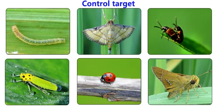 CAS No 135410-20-7 Agrochemical Insecticide Kill Insects Pecticide Blue Powder Acetamiprid 20 20% Sp 70% Wdg 97% Tc