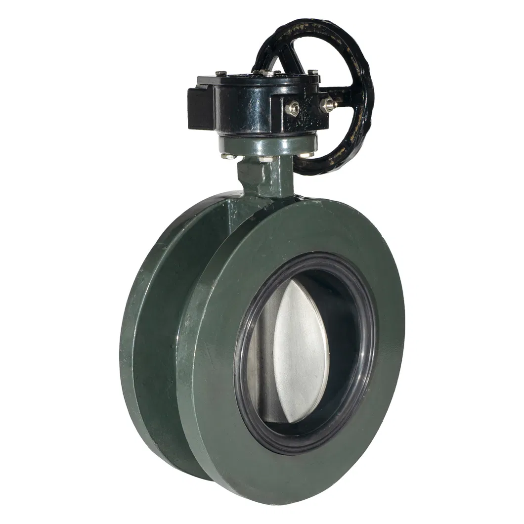 Cast Iron/ Ductile Iron/ Carbon Steel/ Stainless Steel Butterfly Check Valve