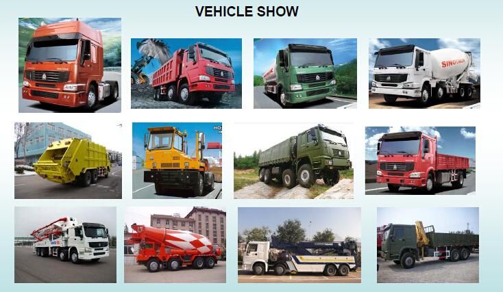 Sinotruk F2000/F3000 12 Wheel 20m3 Dump Truck Heavy Duty Truck