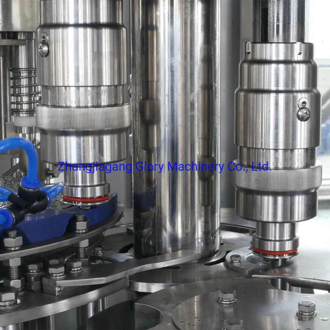3000bph-20000bph Automatic Liquid Bottle Water Bottling Machine
