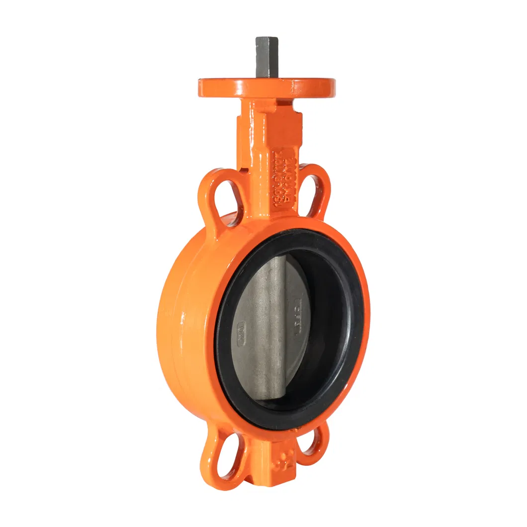 Cast Iron/ Ductile Iron/ Carbon Steel/ Stainless Steel Butterfly Check Valve