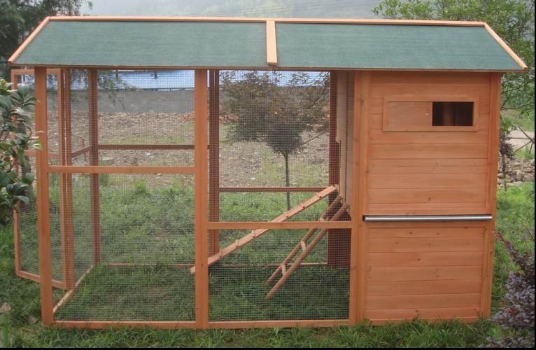 Small chicken coop: Build big chicken coop