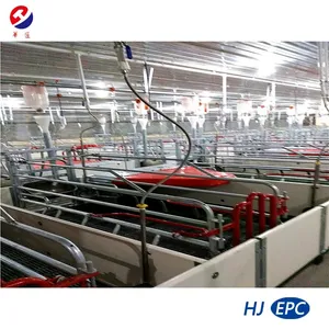 European Standard Hot Galvanized Pig Farrowing Crate with PVC Fence-Livestock Machinery European Standard Hot Galvanized Pig Farrowing Crate with PVC Fence-Livestock Machinery