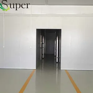 Low Price Fast Delivery Vegetables Plant Cold Room Low Price Fast Delivery Vegetables Plant Cold Room