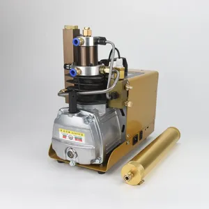 300bar Electric High Pressure Air Pump Breathing Air Compressors with Large Oil-Water Filter 300bar Electric High Pressure Air Pump Breathing Air Compressors with Large Oil-Water Filter