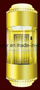 Panoramic Elevator with Luxuries Decoration Panoramic Elevator with Luxuries Decoration