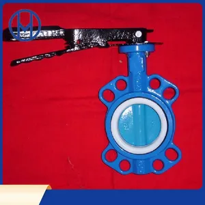 New Products ANSI API CF8 Di Ci EPDM PTFE Strong Acid Ductile Iron Lever Opreated Wafer Lug Butterfly Valve China Suppliers New Products ANSI API CF8 Di Ci EPDM PTFE Strong Acid Ductile Iron Lever Opreated Wafer Lug Butterfly Valve China Suppliers