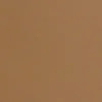 PVC Faced Gypsum Board PVC Faced Gypsum Board