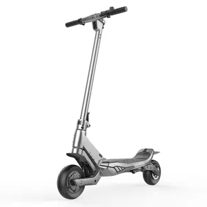 Customization 2021 New Electric Scooter for Adults Customization 2021 New Electric Scooter for Adults