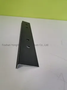 Powder Coating/Anodizing/Machining Decoration Aluminum Extrusion/Profile Powder Coating/Anodizing/Machining Decoration Aluminum Extrusion/Profile