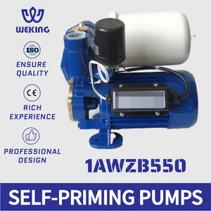 1awzb550 China Good Quality Dingqi 0.5kw 0.75HP 1 HP General Electric Self Priming Automatic Clean Water Pump for Home Use 1awzb550 China Good Quality Dingqi 0.5kw 0.75HP 1 HP General Electric Self Priming Automatic Clean Water Pump for Home Use