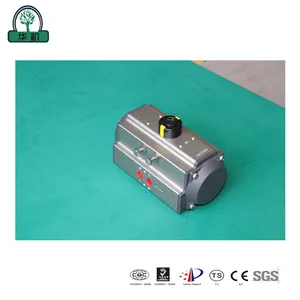 Fine-Axis Pneumatic Actuator-Real Shooting Fine-Axis Pneumatic Actuator-Real Shooting
