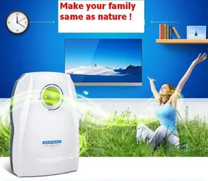 Timer Control Ozone Generator Ozone Disinfector for Vegetable Cleaner Timer Control Ozone Generator Ozone Disinfector for Vegetable Cleaner