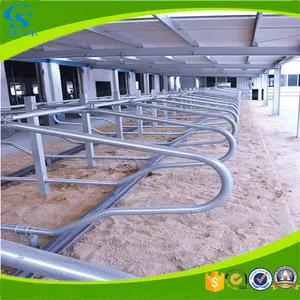 Single Row Double Row Type Cow Free Stall Single Row Double Row Type Cow Free Stall