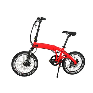 Bicicleta Electrica with Mxus 36V250W Rear Drive Bicicleta Electrica with Mxus 36V250W Rear Drive