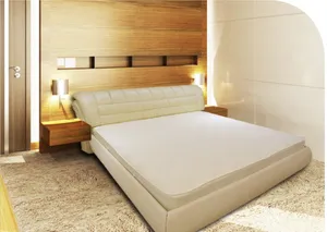 Coconut Palm Fiber & Cotton Spring Mattress Coconut Palm Fiber & Cotton Spring Mattress