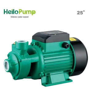Cast Iron Brass Impeller Electric Peripheral Micro Clean Water Pump QB Cast Iron Brass Impeller Electric Peripheral Micro Clean Water Pump QB