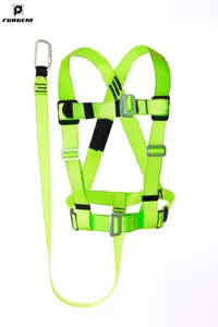 Supply Regional Restrictions Restraint Lanyards Safety Harness Supply Regional Restrictions Restraint Lanyards Safety Harness