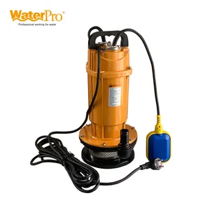 Waterpro 2HP Qdx Series Electric Submersible Pump with Float Switch Bombas Bombas Sumergibles Waterpro 2HP Qdx Series Electric Submersible Pump with Float Switch Bombas Bombas Sumergibles