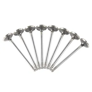 Hight Quality Engine Parts OEM Intake Valve for Car Motorcycle Hight Quality Engine Parts OEM Intake Valve for Car Motorcycle