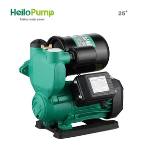 Irrigation System Automatic Self-Priming Peripheral Pumps PW Irrigation System Automatic Self-Priming Peripheral Pumps PW