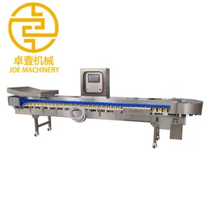 Automatic Weighing Scale Weight Checker Automatic Weighing Scale Weight Checker