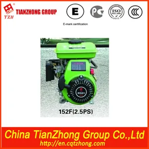 Tianzhong Hot Sell 5.5HP Gasoline Engine 168f Tianzhong Hot Sell 5.5HP Gasoline Engine 168f