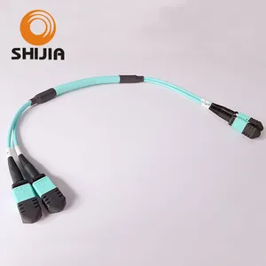 2*12f MPO-MPO Trunk Cable Multimode 5.0mm Fan-out Patchcord 2*12f MPO-MPO Trunk Cable Multimode 5.0mm Fan-out Patchcord