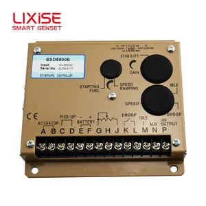 Generator Governor Lixise Spare Parts for Diesel Generator Speed Governor ESD5500e Generator Governor Lixise Spare Parts for Diesel Generator Speed Governor ESD5500e