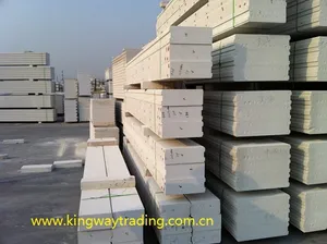 ALC Wall Panel ALC Wall Panel