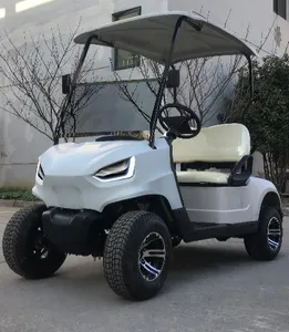 Factory Sales 2 Seater AC Motor Electric Golf Buggy Factory Sales 2 Seater AC Motor Electric Golf Buggy