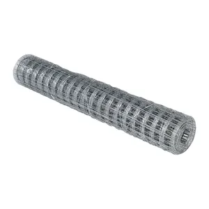 Galvanized Wire Mesh /Wire Mesh/ Galvanized/PVC Welded Wire Mesh for Fence Galvanized Wire Mesh /Wire Mesh/ Galvanized/PVC Welded Wire Mesh for Fence