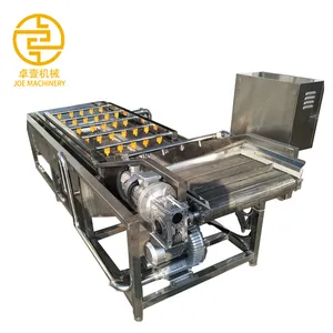 Fruit Bubble Cleaning Machine Fruit and Vegetable Washing Machine Fruit Bubble Cleaning Machine Fruit and Vegetable Washing Machine