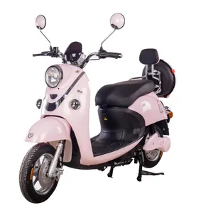 Nice Quality 2020 High Grade Powerful 2000W Electric Dirt Bike with 10 Inch Wheel for Adults Nice Quality 2020 High Grade Powerful 2000W Electric Dirt Bike with 10 Inch Wheel for Adults
