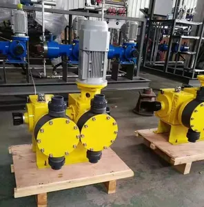 Double-End Mechanical Diaphragm Metering Pump 2lgbz Series Double-End Mechanical Diaphragm Metering Pump 2lgbz Series