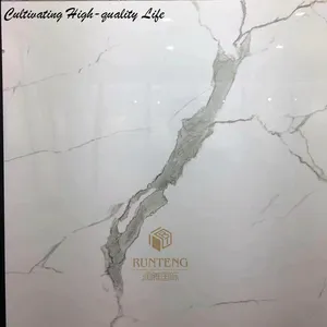 Carrara Full Polished Glazed Flooring & Wall Tiles Carrara Full Polished Glazed Flooring & Wall Tiles