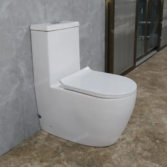 W888 One Piece Toilet Bowl *10 Years warranty on Mechanism* 150mm