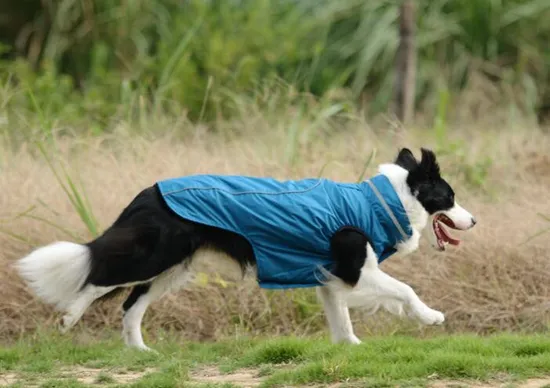 Modern Design Cozy Winter Pet Dog Coldproof and Waterproof Vest