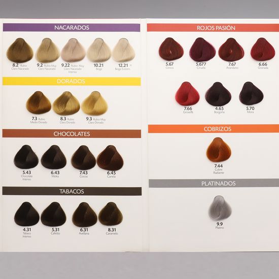 Salon Hair Dye Color Chart