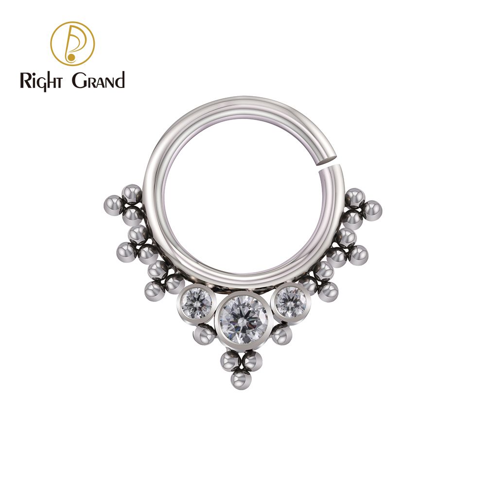 Right Grand Implant Grade Titanium Zircon Seamless Nose Rings pictures & photos