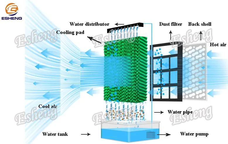 What is an Air Cooler and how does it Work?